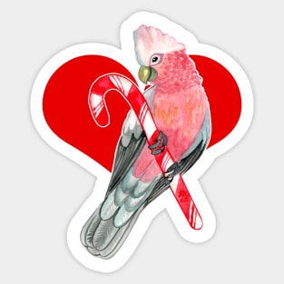 Galah Cockatoo Perching on Candy Cane Sticker